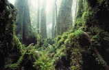 Gold Coast and Hinterland